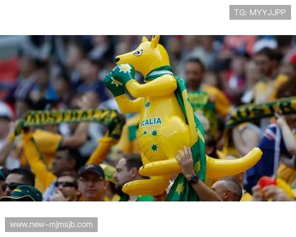 卡塔尔世界杯球迷图片集：展现不同国家球迷的激情与风采